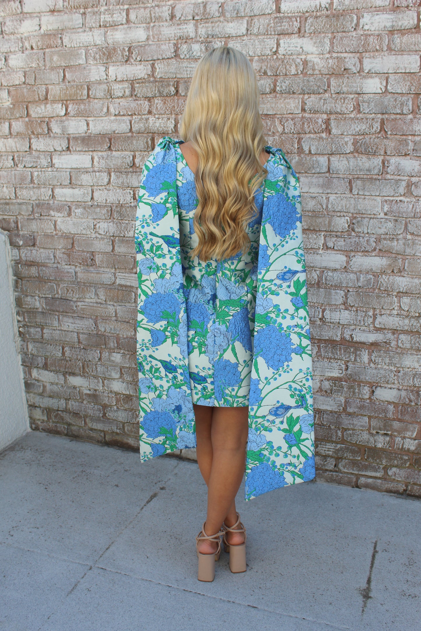 Ivy Dress